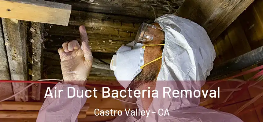 Air Duct Bacteria Removal Castro Valley - CA