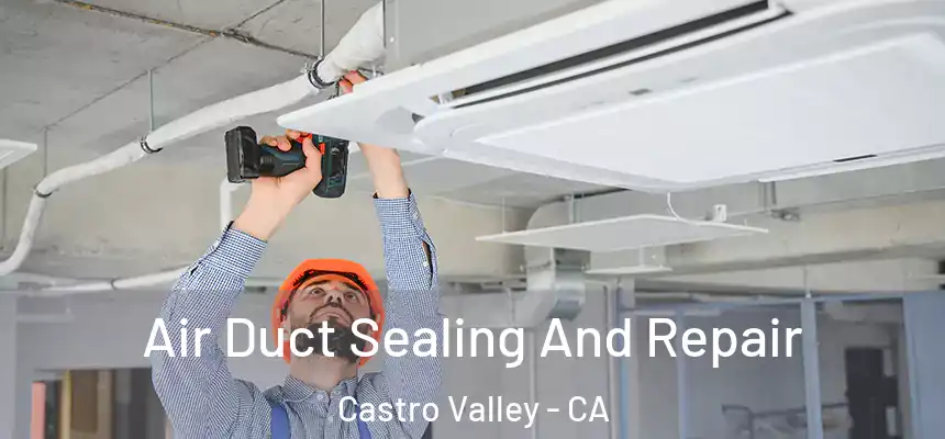  Air Duct Sealing And Repair Castro Valley - CA