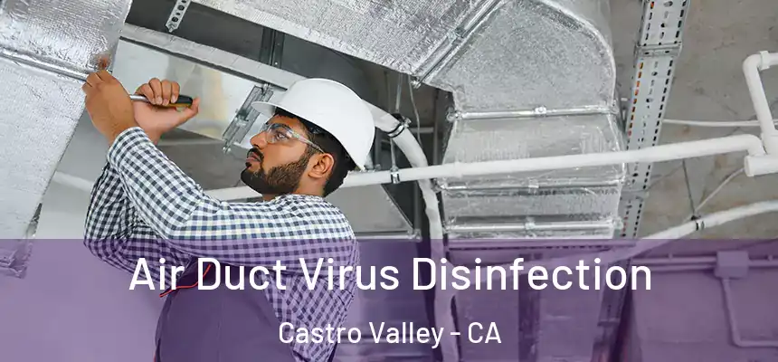 Air Duct Virus Disinfection Castro Valley - CA