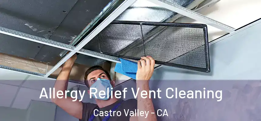  Allergy Relief Vent Cleaning Castro Valley - CA