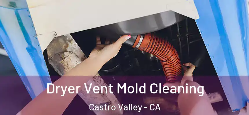  Dryer Vent Mold Cleaning Castro Valley - CA