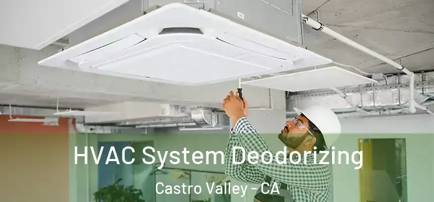  HVAC System Deodorizing Castro Valley - CA