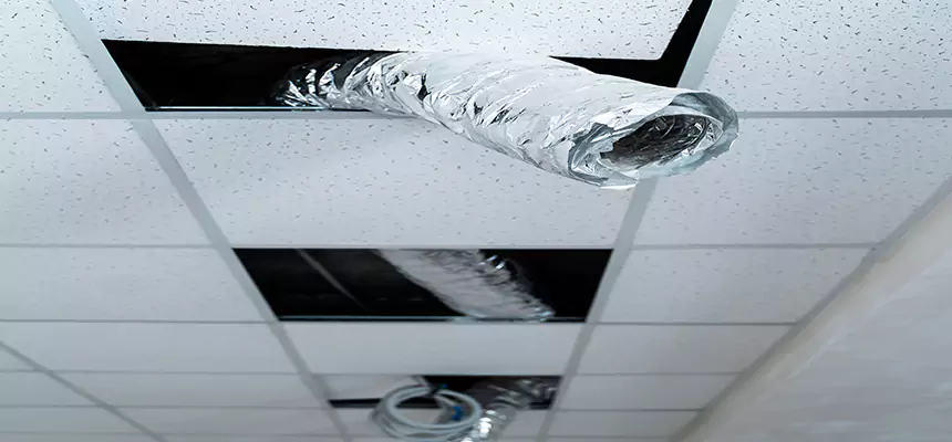 Our Air Duct Pet Hair Removal Services in Castro Valley, CA