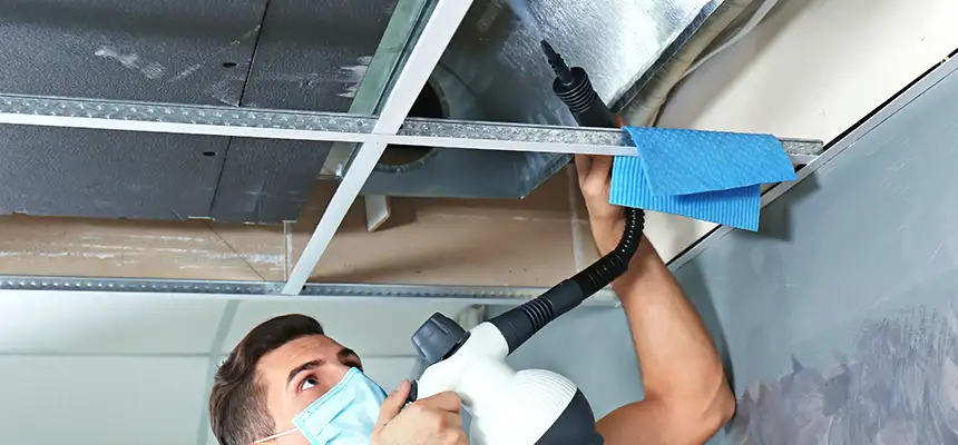 Our Air Duct Rodent Removal Services in Castro Valley, CA