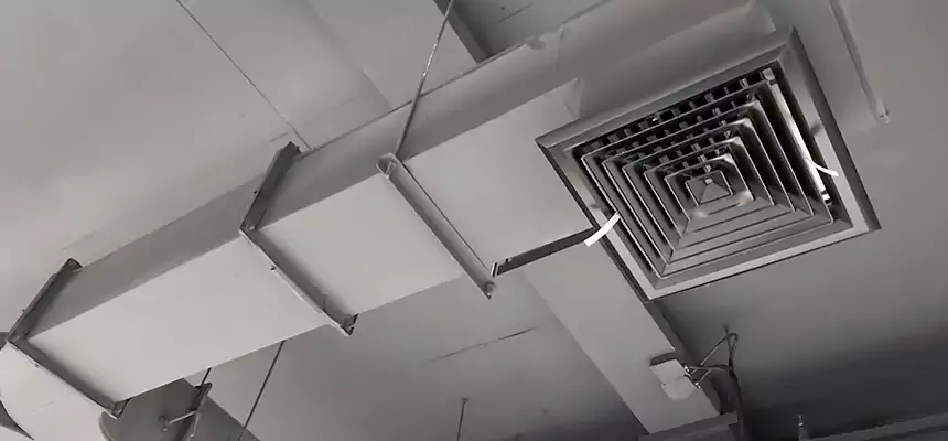 Restorative Allergy Relief Vent Cleaning – Coil, Blower & Housing Detail in Castro Valley