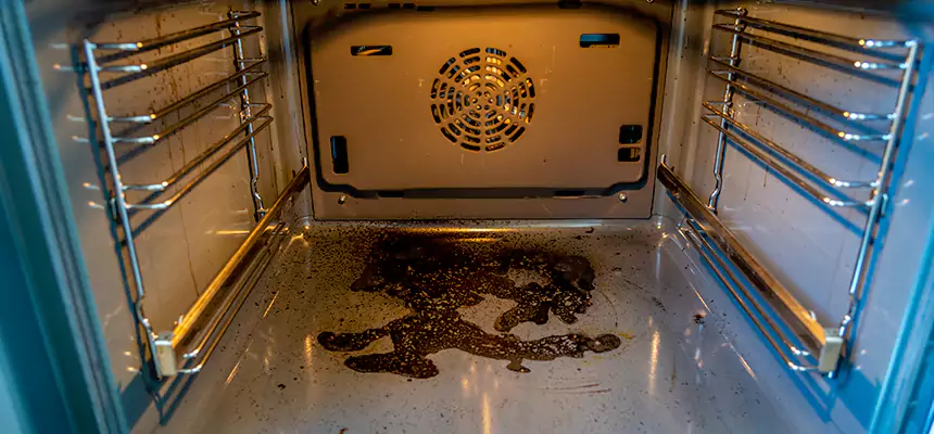 Our Dryer Vent Mold Cleaning Services in Castro Valley, CA