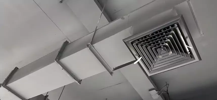 Our Rodent Droppings In Vents Services in Castro Valley, CA