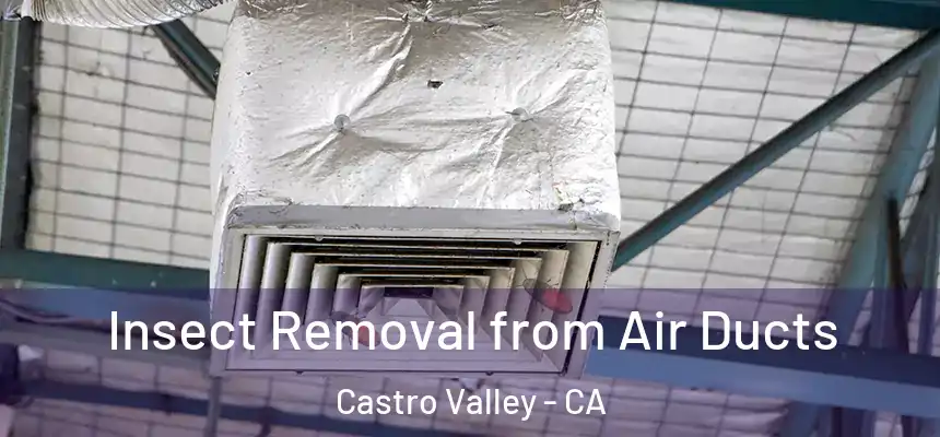  Insect Removal from Air Ducts Castro Valley - CA