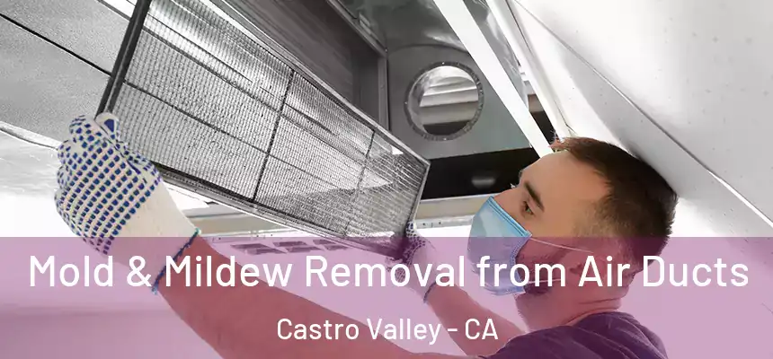  Mold & Mildew Removal from Air Ducts Castro Valley - CA