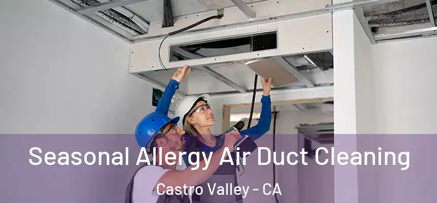  Seasonal Allergy Air Duct Cleaning Castro Valley - CA
