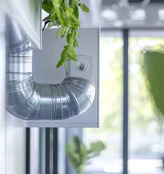 Professional Eco-Friendly Duct Cleaning Services in Castro Valley, CA