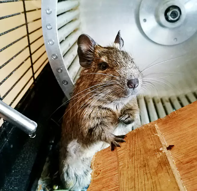 Why Homeowners & Businesses Trust Us Castro Valley, CA?