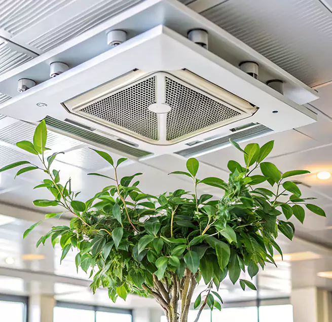 Why Homeowners & Businesses Trust Us in Castro Valley, CA?