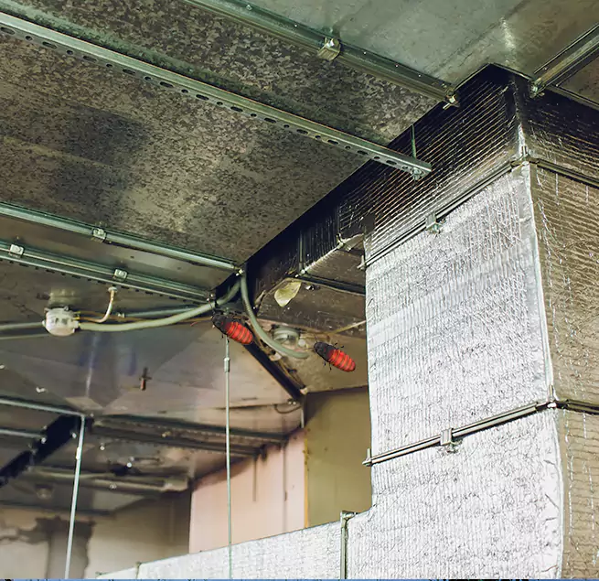 Why Homeowners & Businesses Trust Us Castro Valley, CA?